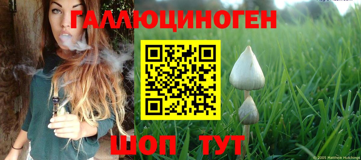 Губкинский  Галлюциногенные грибы MAGIC MUSHROOMS  Вход с VPN 